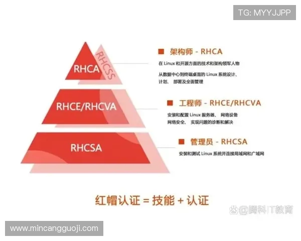 武汉排球队杯赛个人能力分析与表现评估