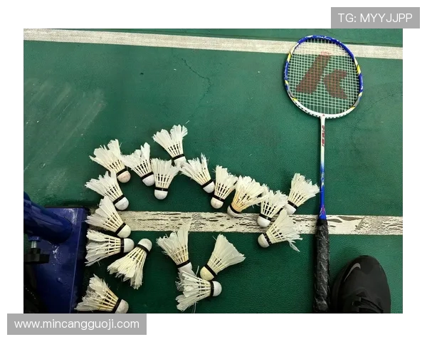 羽毛球的力量与坚持：深入南京羽毛球队的耐力训练揭秘