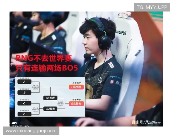 赛后分析：FPX与RNG在团队协作中的优势与不足探讨