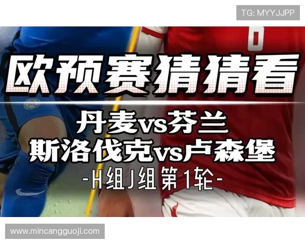 2018年斯洛伐克对阵丹麦精彩回顾与赛后分析