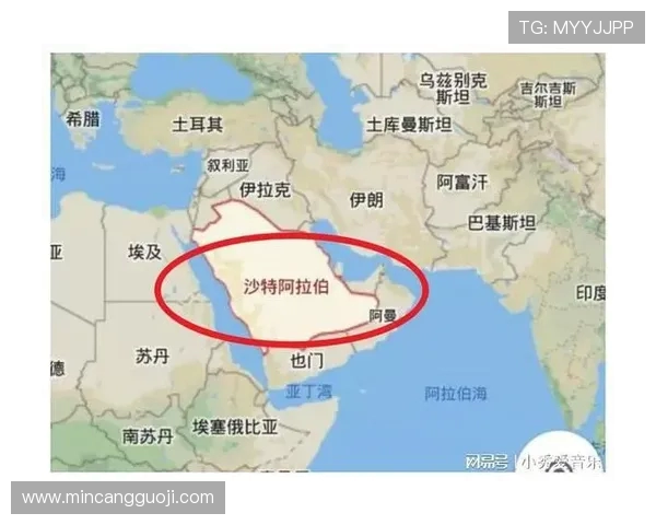 俄罗斯与沙特足球比赛进攻次数分析及其战术影响探讨